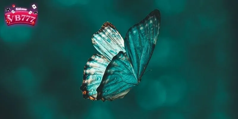 Khá nhiều người cho rằng mơ thấy bướm đánh con gì đề dễ trúng